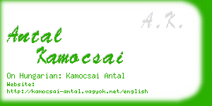 antal kamocsai business card